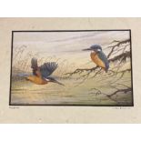 A John Dolton Kingfisher study signed