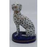 A Staffordshire model of a Dalmatian with a gilt collar and chain, seated on a cobalt blue base,