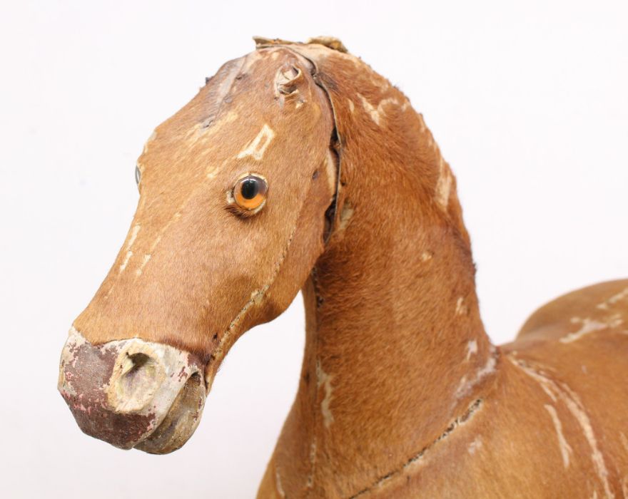 Horse: An early 20th century horse, with pony skin and horse hair, glass inset eyes, mane lacking, - Image 5 of 5