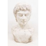 Large terracotta white painted bust of David's Head
