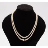 A double strand 9ct gold cultured pearl necklace, comprising a double strand of round graduated