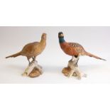 ***WITHDRAWN*** Two Spode bone china cock and hen pheasants