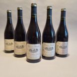 Saint Nicolas de Bourgueil Domaine Pantaleon 2016 5 Bottles