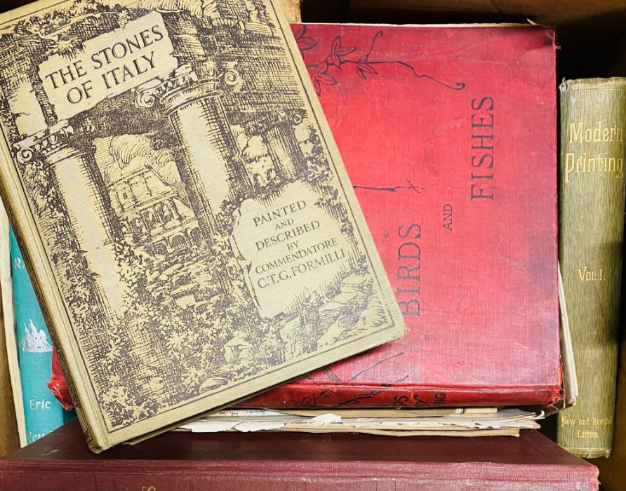 Travel & Natural History. A miscellaneous collection of books, condition varied, sold with all - Image 2 of 4