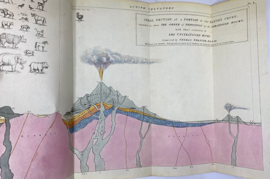 Buckland, Rev. William. Geology and Mineralogy Considered with Reference to Natural Theology, - Image 9 of 9