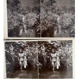Photography interest a collection of early 20th cent Indian interest nude studies