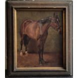 John Emms (British 1843-1912), study of a horse, oil on canvas, signed and dated '95 lower left,