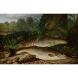 Angling Interest:  Henry Leonidas Rolfe (1823-1881) Trout (three landed on riverbank) oil on canvas,