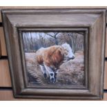 A study of a bull by contemporary artist Katie Wilkins, oil on board in frame. Signed by the