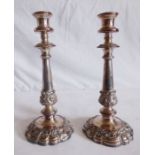 A pair of white metal baluster tapering candlesticks, the borders cast with fruiting vine, shaped