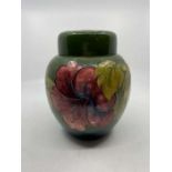 Moorcroft large ginger jar on hibiscus pattern on blue/green ground. Impressed mark to base