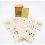 Georgian botanical card game. The Science of Botany according to the system of Linnaeus, by Mad'