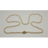 A string of pearls, each approx. 10mm diameter, with pierced 18ct. gold clasp, length 137cm.