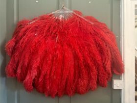 A very large red ostrich feather fan previously housed at the Nottingham school of dance and made in