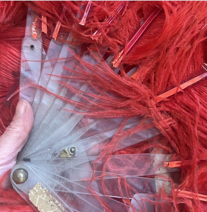 A very large red ostrich feather fan previously housed at the Nottingham school of dance and made in - Image 3 of 3