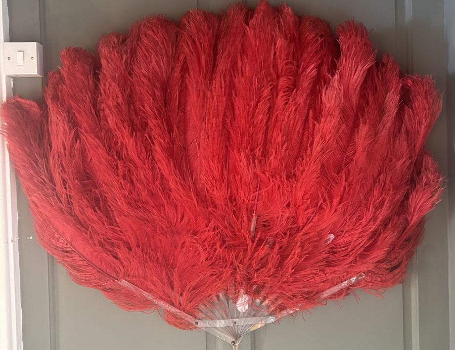 A very large red ostrich feather fan previously housed at the Nottingham school of dance and made in