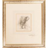 David Shepherd CBE FRSA FGRA (1931-2017)  Elephant pencil sketch, 9 x 8cm  signed lower right,