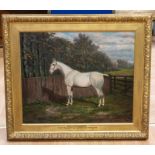 Equestrian Interest Frederick Albert Clark (1869-1954) Pen Y Lan Queenie, Winner Second Prize