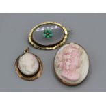 An Antique cameo along with a Victorian chalcedony "Forget Me Not" brooch and a gilded shell cameo