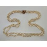 A long double string cultured pearl necklace, having 14ct. gold flower form clasp set graduated
