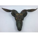 A Sino-Tibetan goat skull. W:42cm