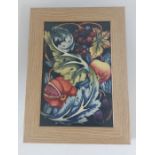 A master Moorcroft ceramic framed plaque, limited to 50. Study in Fruits, with a cobalt blue back