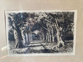 Original Etching by Tinus de Jongh  'The Avenue'    Approximately 11" x 8"