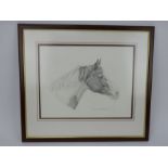 Alexandra McMaster, sketch of horse's head, pencil on paper