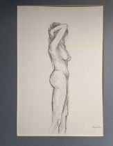 PTUKHA, DARYNA (Ukrainian, b.1992), "Nu", study of nude female, pencil, paper, 30 х 42 cms Further