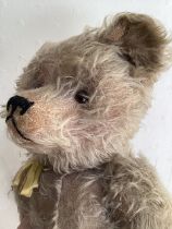 Antique early 20th WW1 era Teddy bear ;Likely J K Farnell, with a hump back construction- Originally