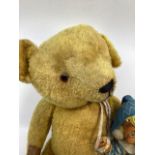 Vintage mid 20th c golden wool teddy bear-lacks the left eye and his left ear is unstitched 22” long