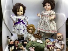 Vintage Hrad plastic 1950s Pedigree dolls and others to include smaller rosebud dolls and a BND