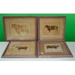 A set of eight Victorian watercolours of Cattle to include a pair of "Twinkle" July 1874, a "9th