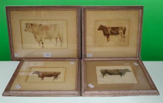 A set of eight Victorian watercolours of Cattle to include a pair of "Twinkle" July 1874, a "9th