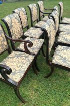 An set of 14 Regency style chairs  consisting of 12 chairs  and two carvers