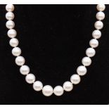 ***AUCTIONEER TO ANNOUNCE NECKLACE STRING SNAPPED DUE TO AGE *** A south sea cultured pearl