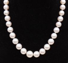 ***AUCTIONEER TO ANNOUNCE NECKLACE STRING SNAPPED DUE TO AGE *** A south sea cultured pearl