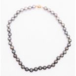 A Tahitian/South sea cultured pearl Ombre necklace, comprising a single row of uniform pearls,