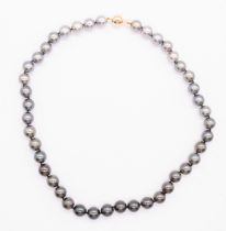 A Tahitian/South sea cultured pearl Ombre necklace, comprising a single row of uniform pearls,