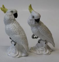 A pair of Crown Staffordshire models of Cockatoo by JT Jones, 25cm high. One with repair to crest