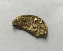 Celtic Dobunni gold Stater, cut in half, unInscribed- Horse obverse and Wheat head/Tree reverse.