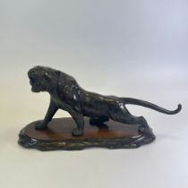 Good quality Japanese bronze Tiger on wooden stand with 3 character signature, approx 42cm long in