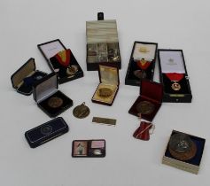 A group of Civic awards and medallions largely presented to Councillor/Mayor T G Mason, Rochester