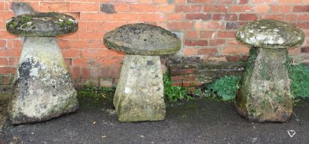 Three various staddle stones of near similar size, height 75cm, 73cm and 69cm approximately