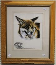 Ann Seward (20th century British) Study of a fox. Watercolour, signed in pencil, 35 x 28cm