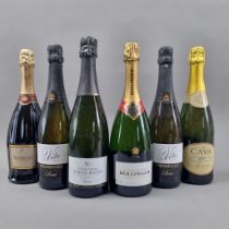 6 Bottles of Sparkling Wines to include, Bollinger NV Champagne, Prosecco and Cava (6 Bottles)