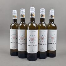 Albarino Ama Vida 2019 (5 Bottles)