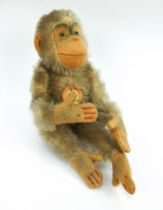 A pale mohair Steiff Jocko Monkey with original labels, ear stud, jointed limbs and glass eyes.