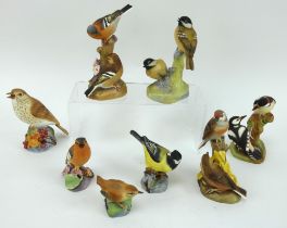 Eight Royal Worcester bone china figures of birds to include wren, tits, woodpeckers, thrush etc.