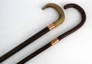 An antique walking stick with horn handle and 9ct gold collar, & another stick with 9ct gold collar